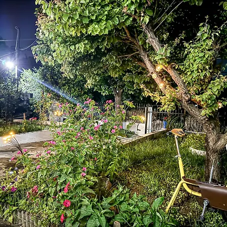Garden 別荘 *