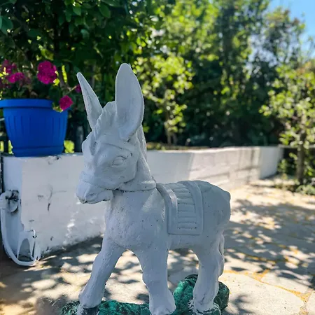 別荘 Garden