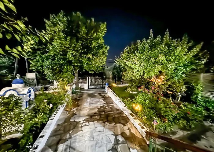The Garden
